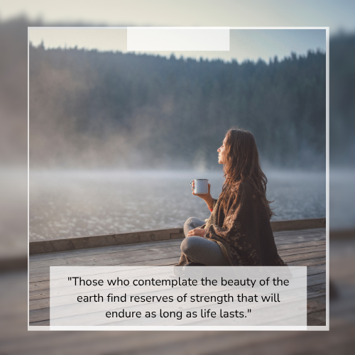 Sample Quote 2